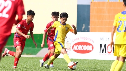 ২০২৬ অনূর্ধ্ব-১৫ জাতীয় চ্যাম্পিয়নশিপ ফাইনাল: এসএলএনএ কোয়ার্টার ফাইনালের জন্য আগেই যোগ্যতা অর্জন করেছে।