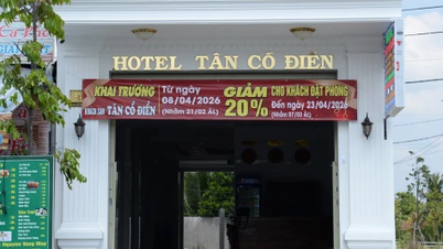 Inauguración del Hotel Neoclásico: una opción de alojamiento lujosa y confortable.