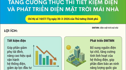 [INFOGRAFIS] Memperkuat penegakan penghematan listrik dan mengembangkan tenaga surya atap rumah