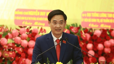 Dr. Dang Anh Tuan has been appointed Rector of Dong Nai University.