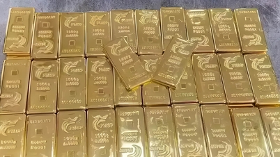 एक सप्ताह में 11.5 बिलियन वीएनडी का नुकसान: सोने के निवेशक कंगाल हो गए, 8 साल तक इसकी कीमत चुकाते रहे।