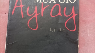Thấm đẫm tình yêu văn hóa Tây Nguyên trong “Mưa gió Ayray”