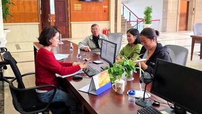 Het aantal nieuw opgerichte bedrijven in Hai Phong is met 42,4% gestegen.