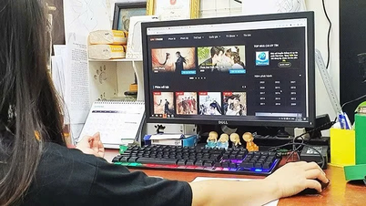 Auteursrechtkwesties en de beveiliging van digitale activa.