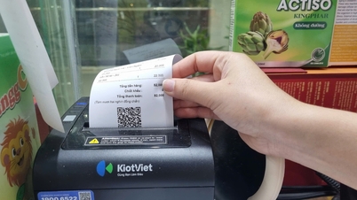 Evden çalışan ve seyahat acentesi olarak faaliyet gösteren bir işletme gelirlerini nasıl beyan etmelidir?