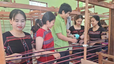 ត្បាញក្រណាត់ប៉ាក់កណ្តាលព្រៃដ៏ធំល្វឹងល្វើយ។