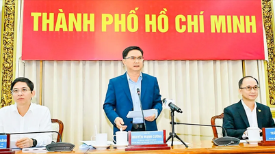 La ciudad de Ho Chi Minh consulta a expertos sobre el proyecto de Ley de Zonas Urbanas Especiales: un marco jurídico a largo plazo, codificado al más alto nivel.