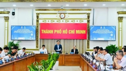 Kota Ho Chi Minh berkonsultasi dengan para ahli mengenai rancangan Undang-Undang tentang Kawasan Perkotaan Khusus.