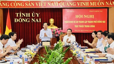 Dong Nai remplit les conditions requises pour devenir une ville administrée par le gouvernement central.