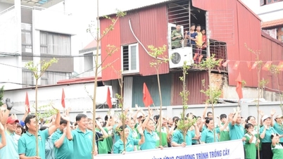 Phu Dong'daki çiftçiler ağaç dikme ve çevreyi koruma çağrısına yanıt veriyor.