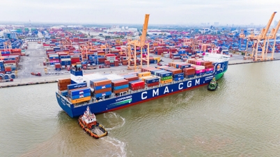 Dinh Vu Port aims for a 14% growth rate.