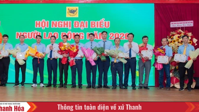 Компания Binh Dien превысила отметку в 10 000 миллиардов донгов по выручке, подтвердив свои лидирующие позиции в отрасли производства удобрений.