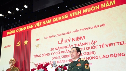 За кулисами многомиллиардного успеха компании Viettel на зарубежных рынках.