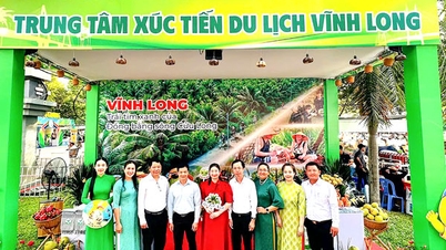 Plus de 1 000 publications de la province ont été exposées et présentées lors du Festival du tourisme de Hô Chi Minh-Ville.