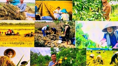 A fenntartható mezőgazdasági és vidékfejlesztés előmozdítása.