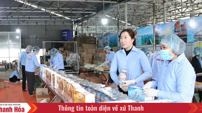 ស្ត្រីទាំងនេះទទួលបានជោគជ័យក្នុងអាជីវកម្ម និងមានសុខុមាលភាពសង្គមល្អ។