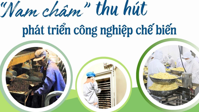 «មេដែក» ទាក់ទាញការអភិវឌ្ឍឧស្សាហកម្មកែច្នៃ។
