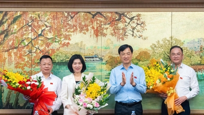 Hanoi, heyet başkan yardımcısını ve tam zamanlı Ulusal Meclis delegelerini seçti.