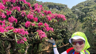 The journey to conquer Putaleng and the promise to meet the rhododendron flowers.