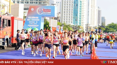 The mark of sports and tourism affirms Nha Trang's attractiveness as an event destination.