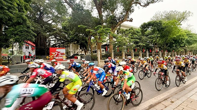 Bicycles in Vinh Long and the aspiration to conquer new heights.