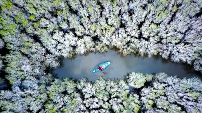 Первозданная красота мангрового леса Бау Ка Кай.
