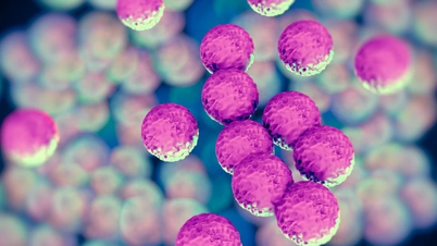 Bacteria discovered that may protect the body against long-lasting COVID syndrome.
