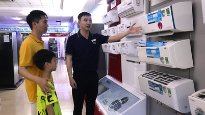 Pasar peralatan rumah tangga di Hai Phong sedang berkembang pesat.