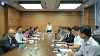 Provincial Party Secretary Luong Nguyen Minh Triet was elected Head of the Dak Lak Provincial Delegation to the 16th National Assembly.