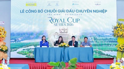 В серии турниров Royal Cup 2026 примут участие более 300 гольфистов, общий призовой фонд которых составит 1,1 миллиарда донгов.