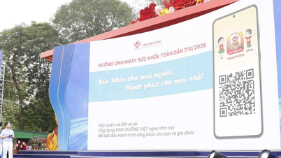 A vietnami táplálkozási alkalmazás elindítása