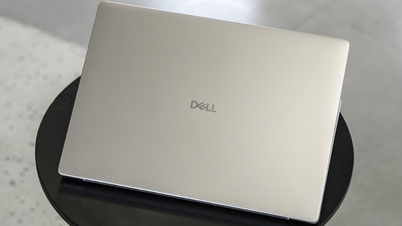 Оновлення щодо останніх моделей ноутбуків Dell, що найбільше продавалися на даний момент.