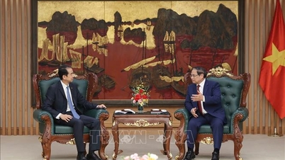 Başbakan Pham Minh Chinh, Çin Büyükelçisini kabul etti.