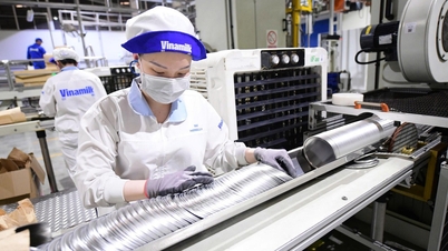 Vietnamlı şirketin rekabet oranının son derece yüksek olduğu ortaya çıktı: 6.300 başvuru arasından sadece 38 kişi seçildi.