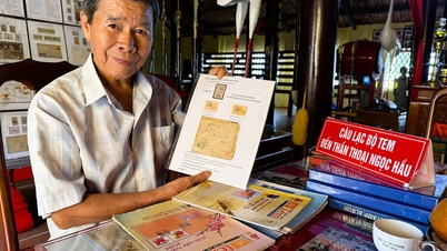 Over half a century of stamp collecting.