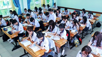Students in Ho Chi Minh City choose subjects for the 2026 high school graduation exam: English and Physics account for the majority.