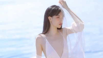Chinese tourists love visiting Vietnam, with tourism continuously breaking records.