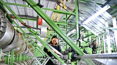 The world faces the risk of shortages in all sectors due to the oil crisis.