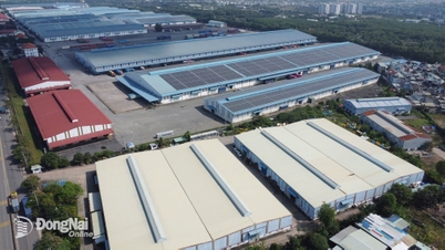 Menjelang 2030, wilayah Dong Nai menyasarkan untuk mempunyai kira-kira 1,200 perusahaan perindustrian yang menyokong.