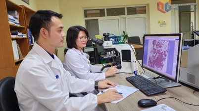Meningkatkan kualitas diagnosis penyakit.