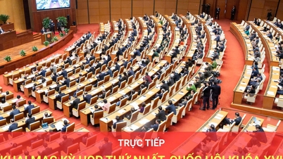 Live: Openingsceremonie van de eerste zitting van de 16e Nationale Vergadering
