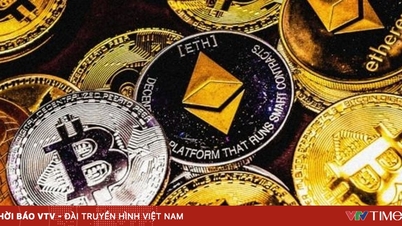 IMF warns of market crisis from the cryptocurrency financial system.
