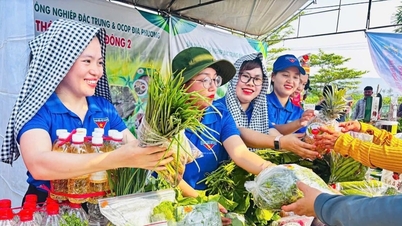 Building the "Hoa Vang Green" ecosystem.