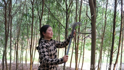 Women in Huu Lung are confidently moving forward in economic development.