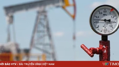 エネルギー政策：多くの国が、この衝撃を乗り越えるために「方向転換」を図っている。