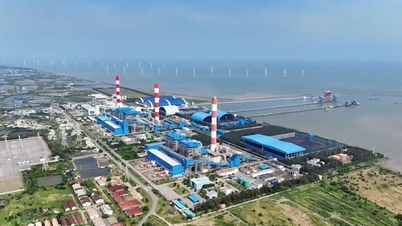 Ho Chi Minh şehrini Mekong Deltası'na bağlayan kıyı otoyolu CT.33: 90.000 milyar VND'nin üzerinde yatırım önerisi.