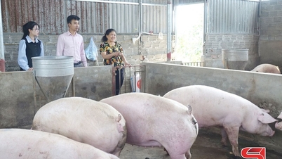 Tăng cường kiểm tra, giám sát, phát huy hiệu quả nguồn vốn vay ưu đãi