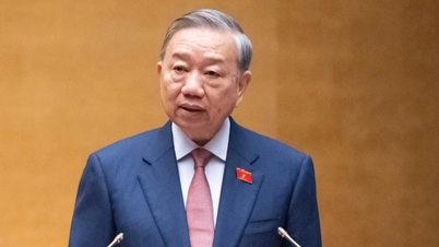 “Quốc hội quyết định cho hiện tại, nhưng chịu trách nhiệm trước tương lai”