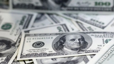 Обмінний курс долара США сьогодні (6 квітня): Долар США продовжуватиме отримувати підтримку.