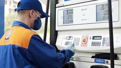 Soupçonnant certaines entreprises de profiter des prix du carburant, le service des impôts ordonne une inspection surprise.